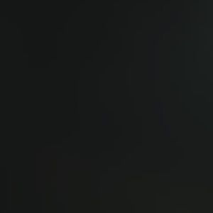 Meet your Posher, Riley